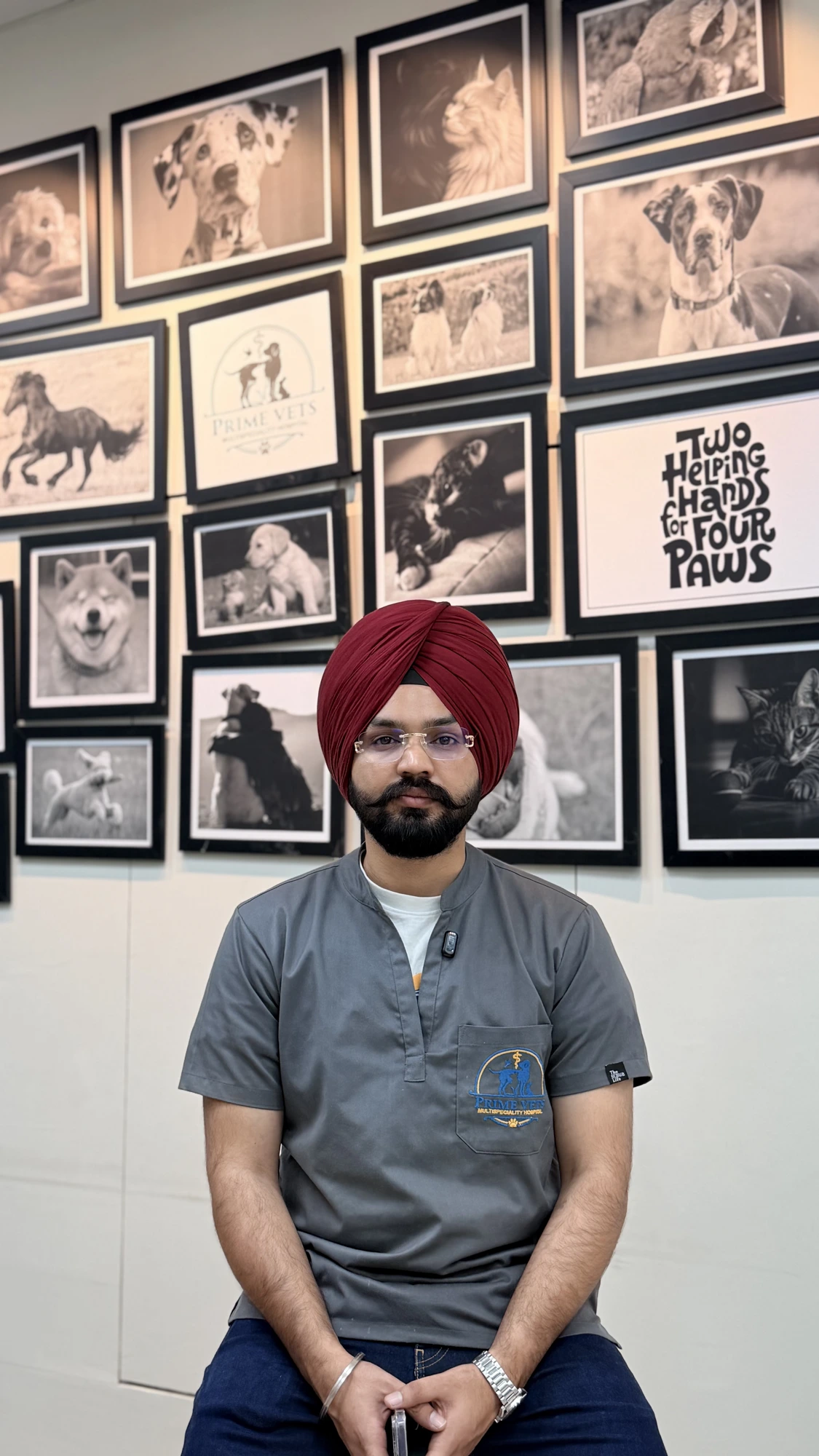 Chief Veterinarian, PrimeVets